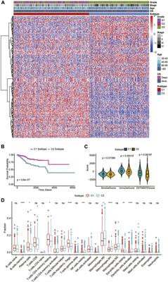 Metabolism-associated molecular classification of uterine corpus endometrial carcinoma